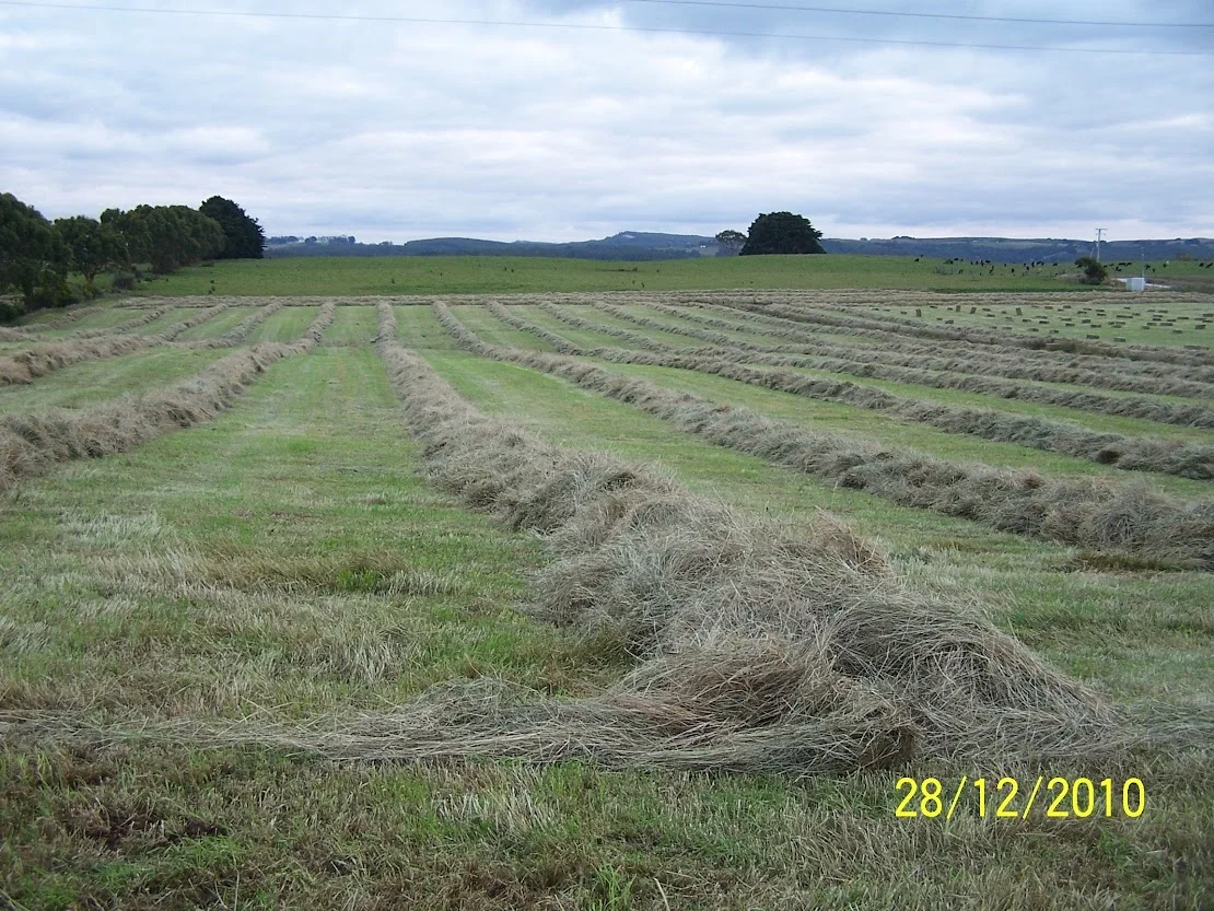 Additional image 11 of Cyathea Road, Forest TAS 7330