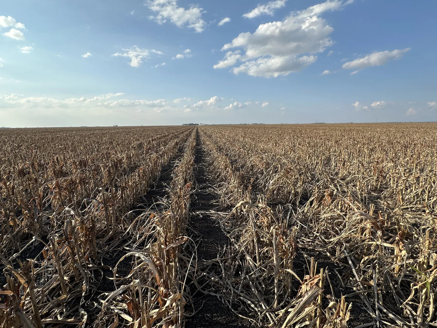 Additional image 11 of 2094 West Prairie Road, West Prairie QLD 4403