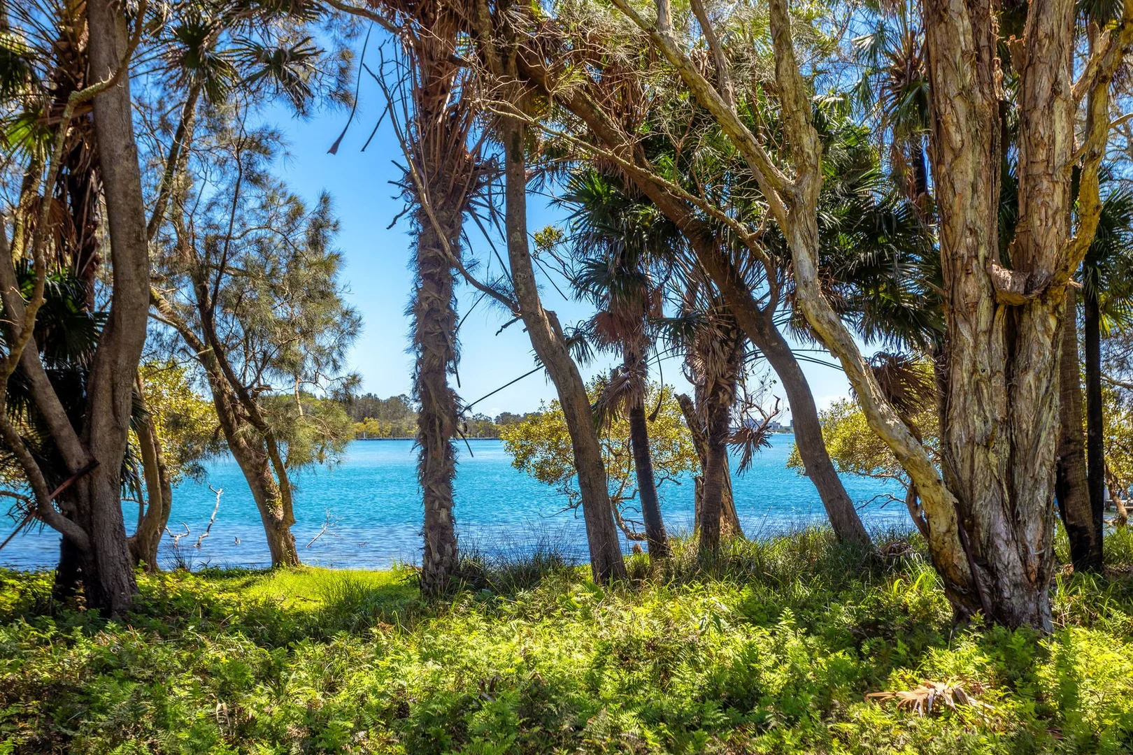 Additional image 6 of LOT 5 WALLIS ISLAND MAIN TRAIL, Forster NSW 2428