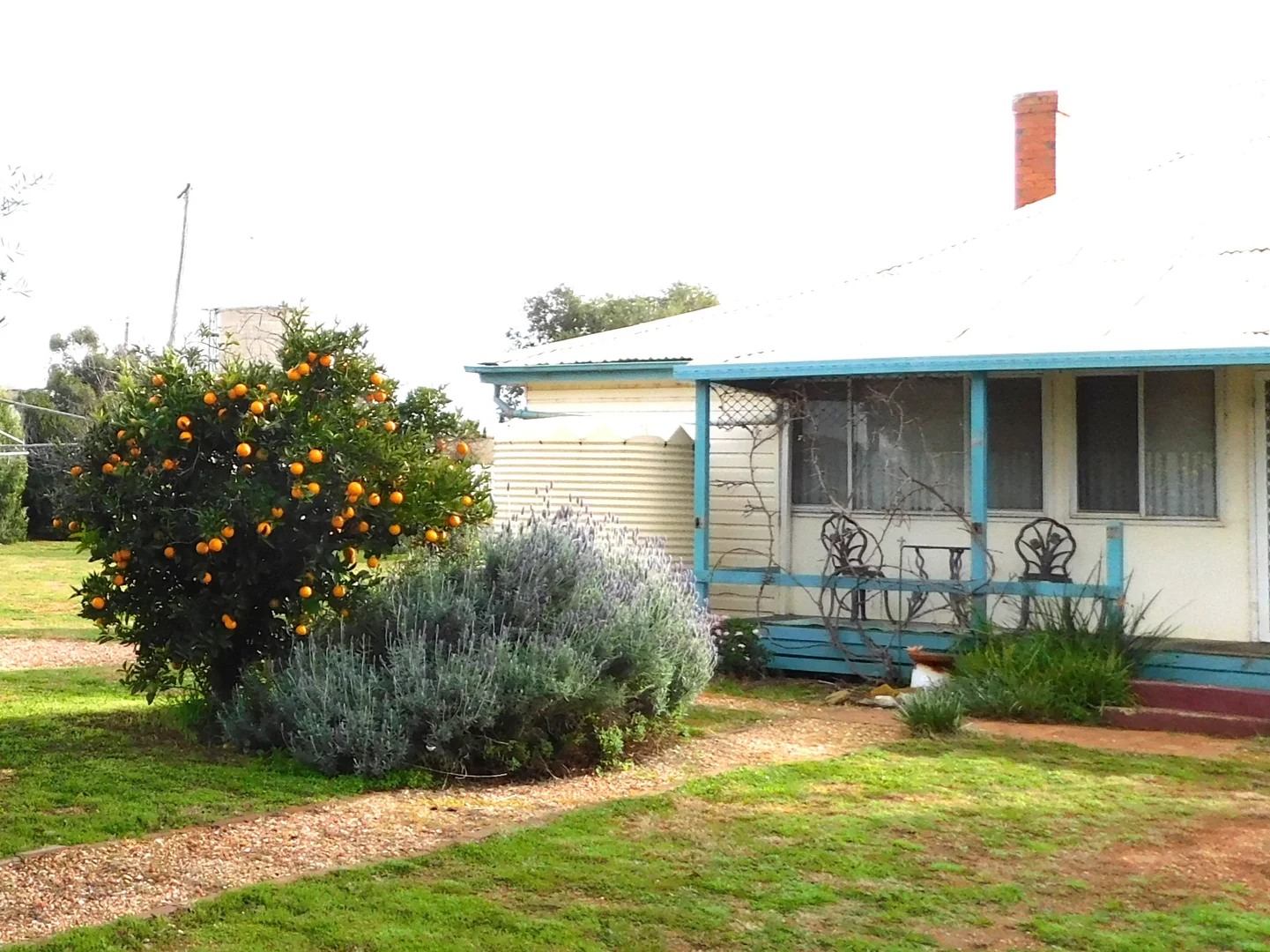 Additional image 15 of 102 Umang Street, Tottenham NSW 2873