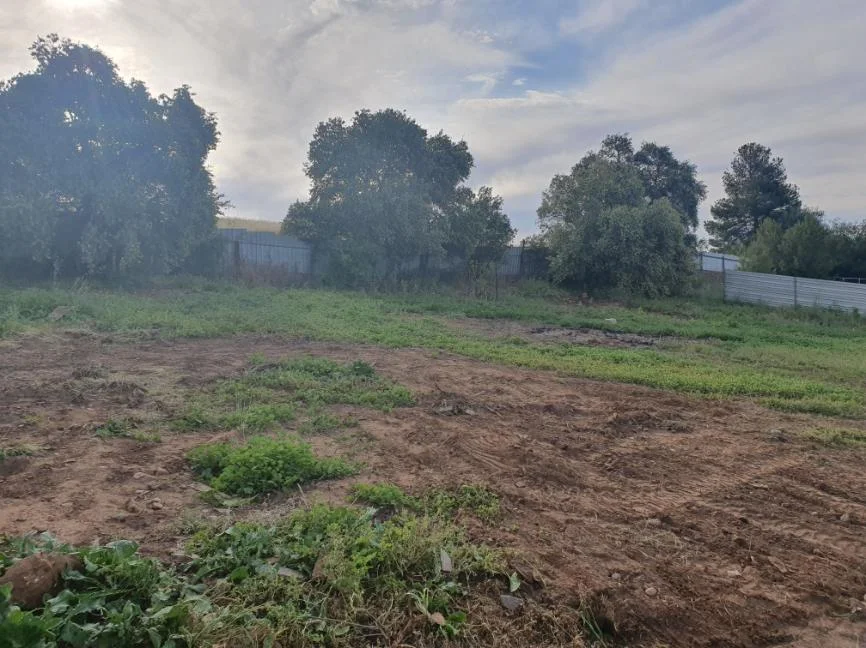 Additional image 7 of 20 Sarah Street, Penrice SA 5353