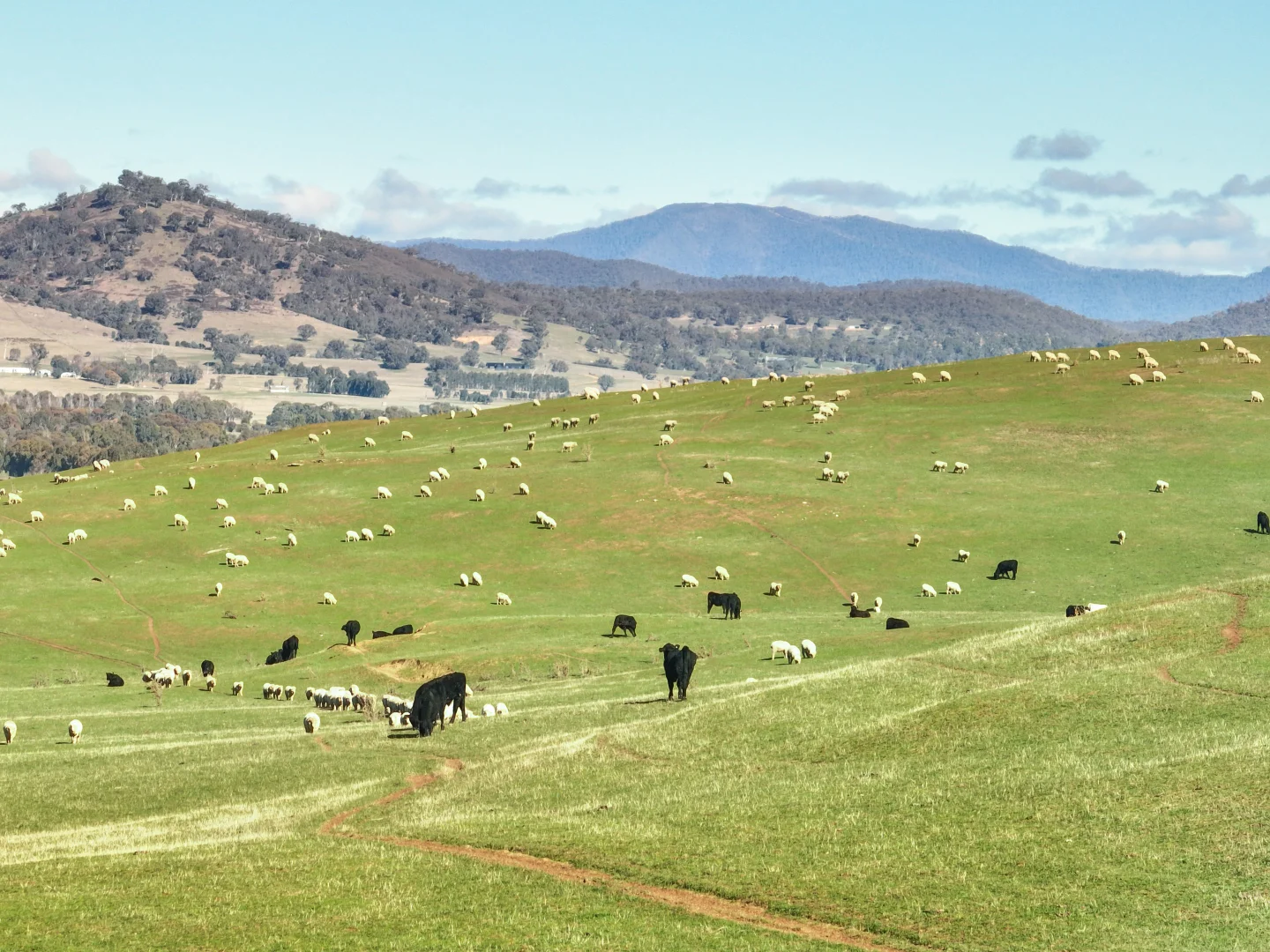 Additional image 12 of Lot 1, 214 Hearns Road, Boorolite VIC 3723