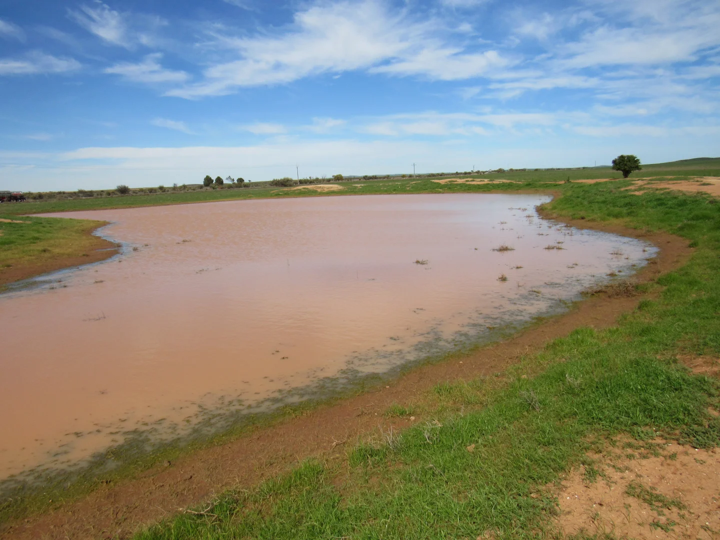 Additional image 3 of "The Pines" 75 Lang Road, Sunnybrae SA 5422