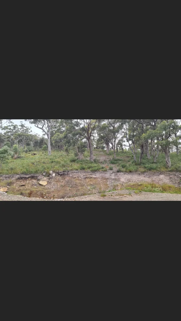 Additional image 12 of 153 White Beach Road, White Beach TAS 7184