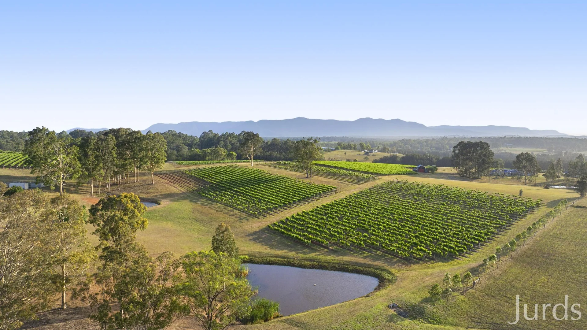 Additional image 44 of 110 Old North Road, Pokolbin NSW 2320