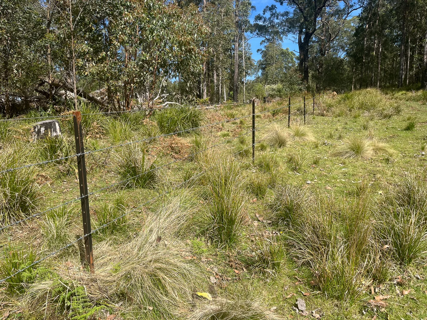 Additional image 14 of 638 Tops Road, Nowendoc NSW 2354