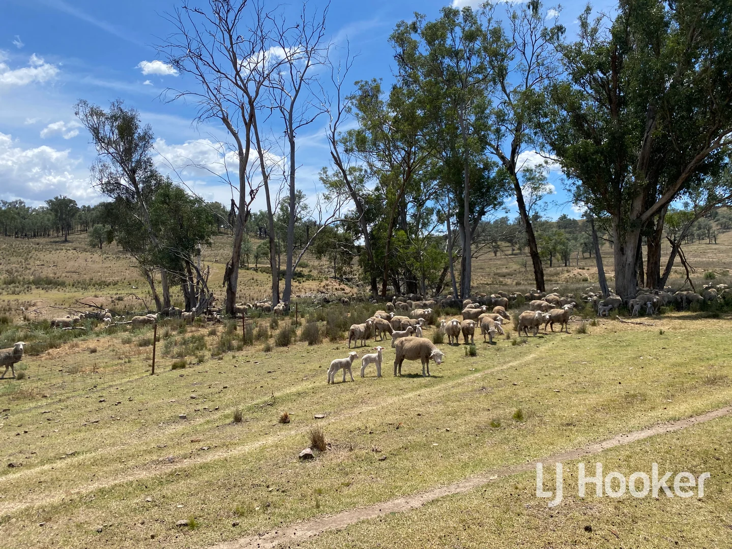 Additional image 17 of 1198 Bukkulla Road, Inverell NSW 2360