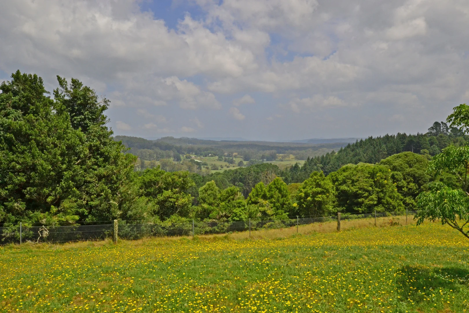Additional image 9 of 91 MISSINGHAM PARADE, Robertson NSW 2577