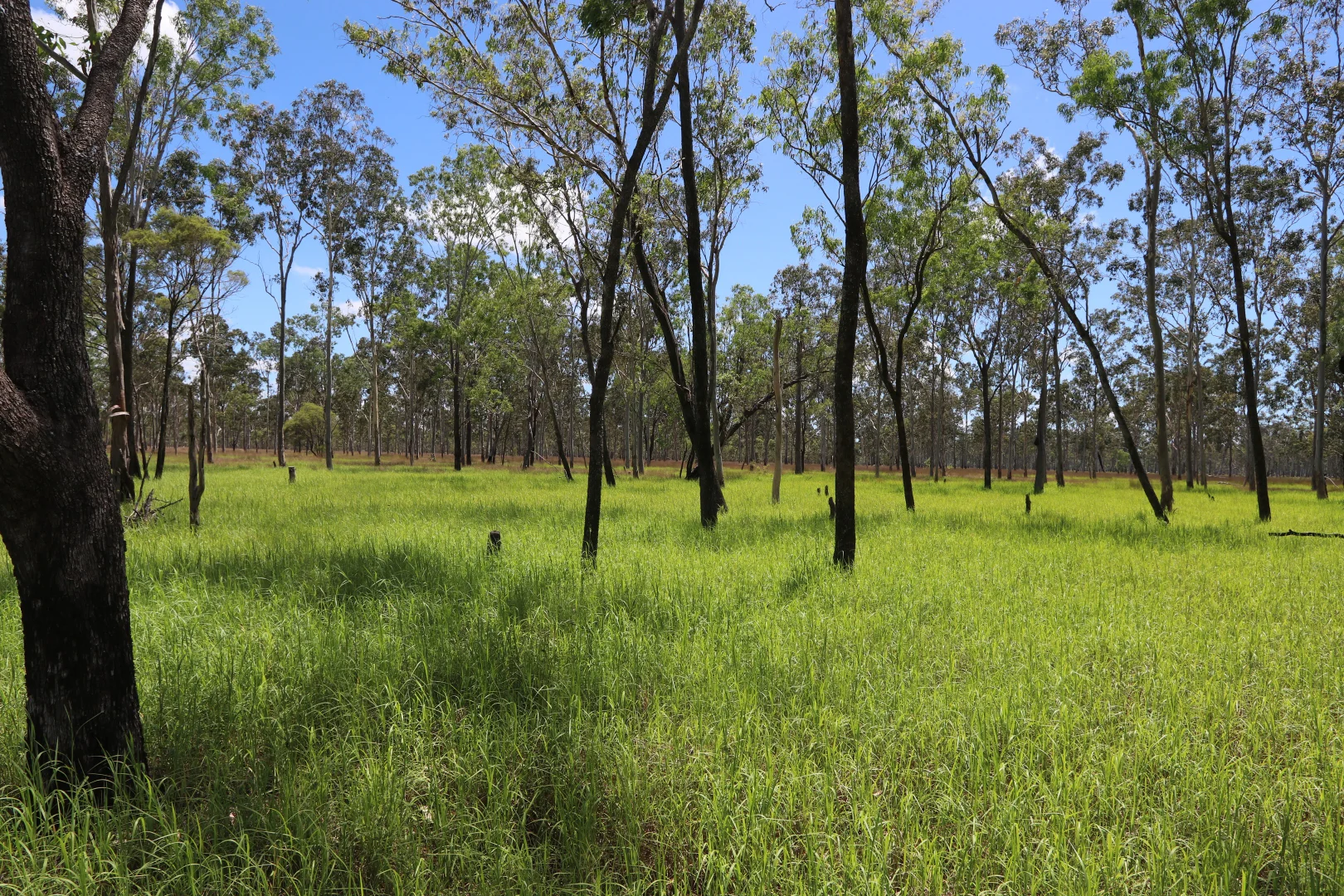 Additional image 5 of 330 Doonside Road, Jardine QLD 4702