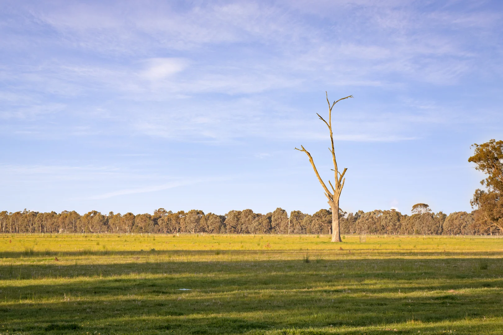 Additional image 24 of 617 Police Paddocks Rd, Carlyle VIC 3685