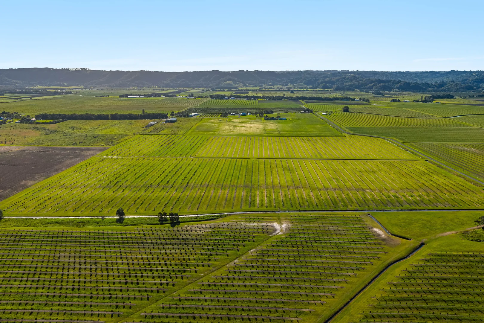 Additional image 10 of 134 Hermans Lane, Pimlico NSW 2478