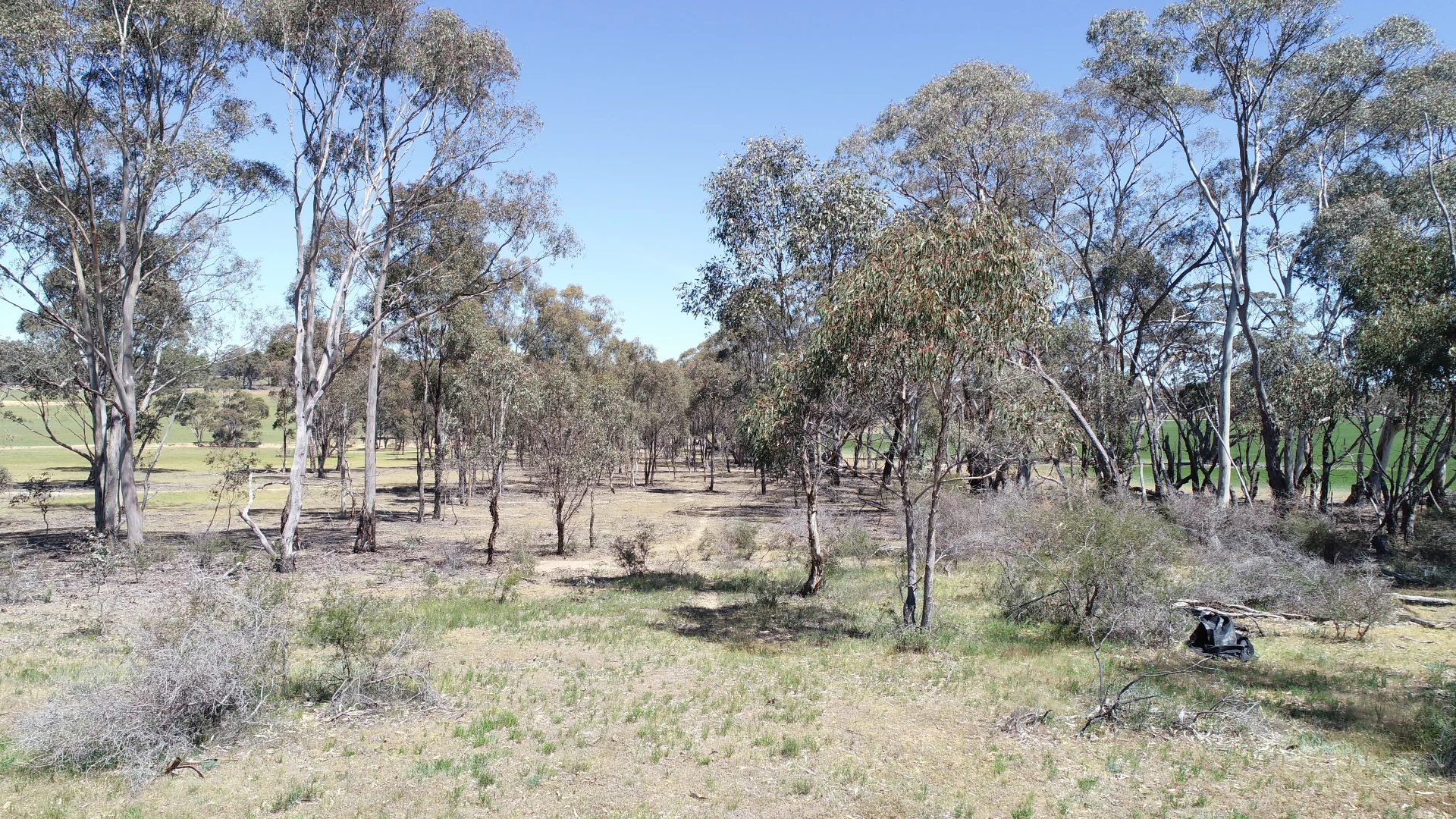 Additional image 6 of Allotment 7D Wedderburn Road, St Arnaud East VIC 3477