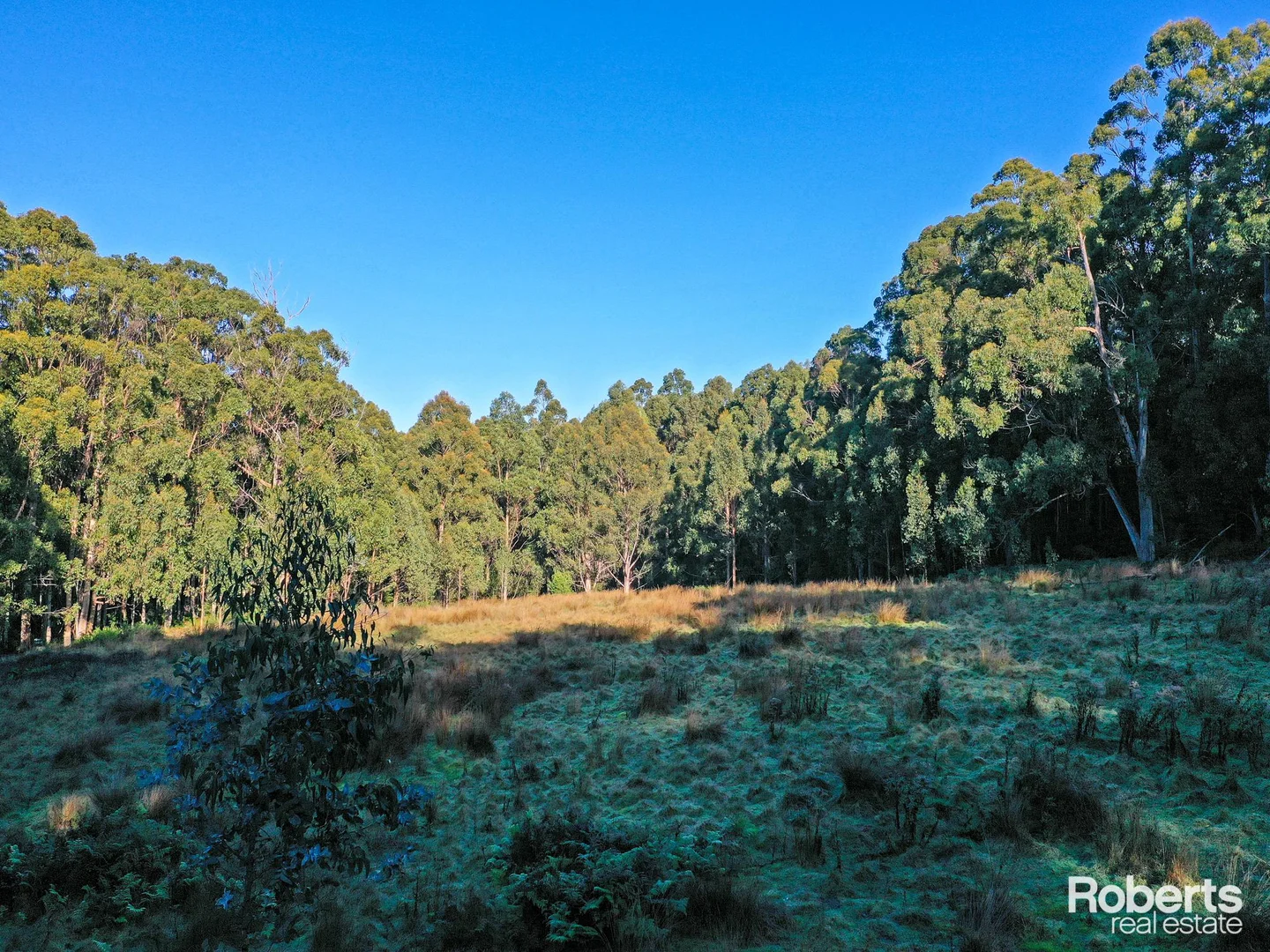 Additional image 5 of Lot 1 Lady Bay Road, Southport TAS 7109