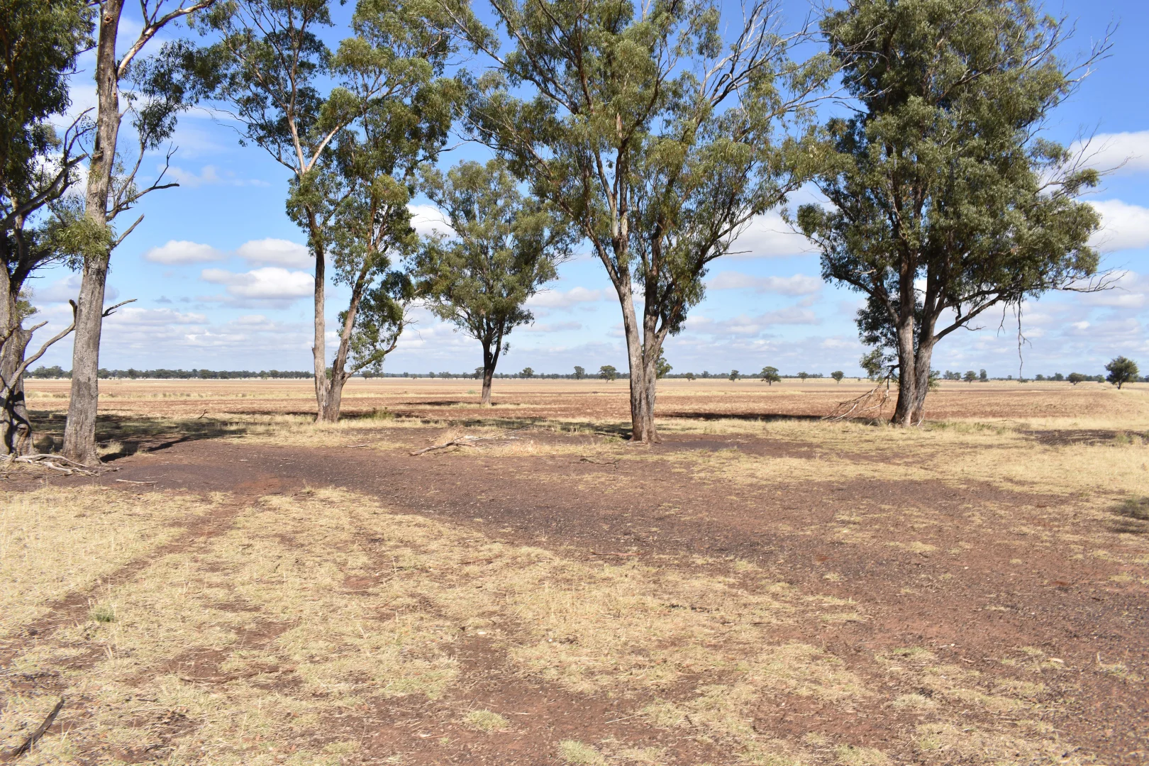 Additional image 29 of 987 Boorr Hill Road, Bruie Plains NSW 2875