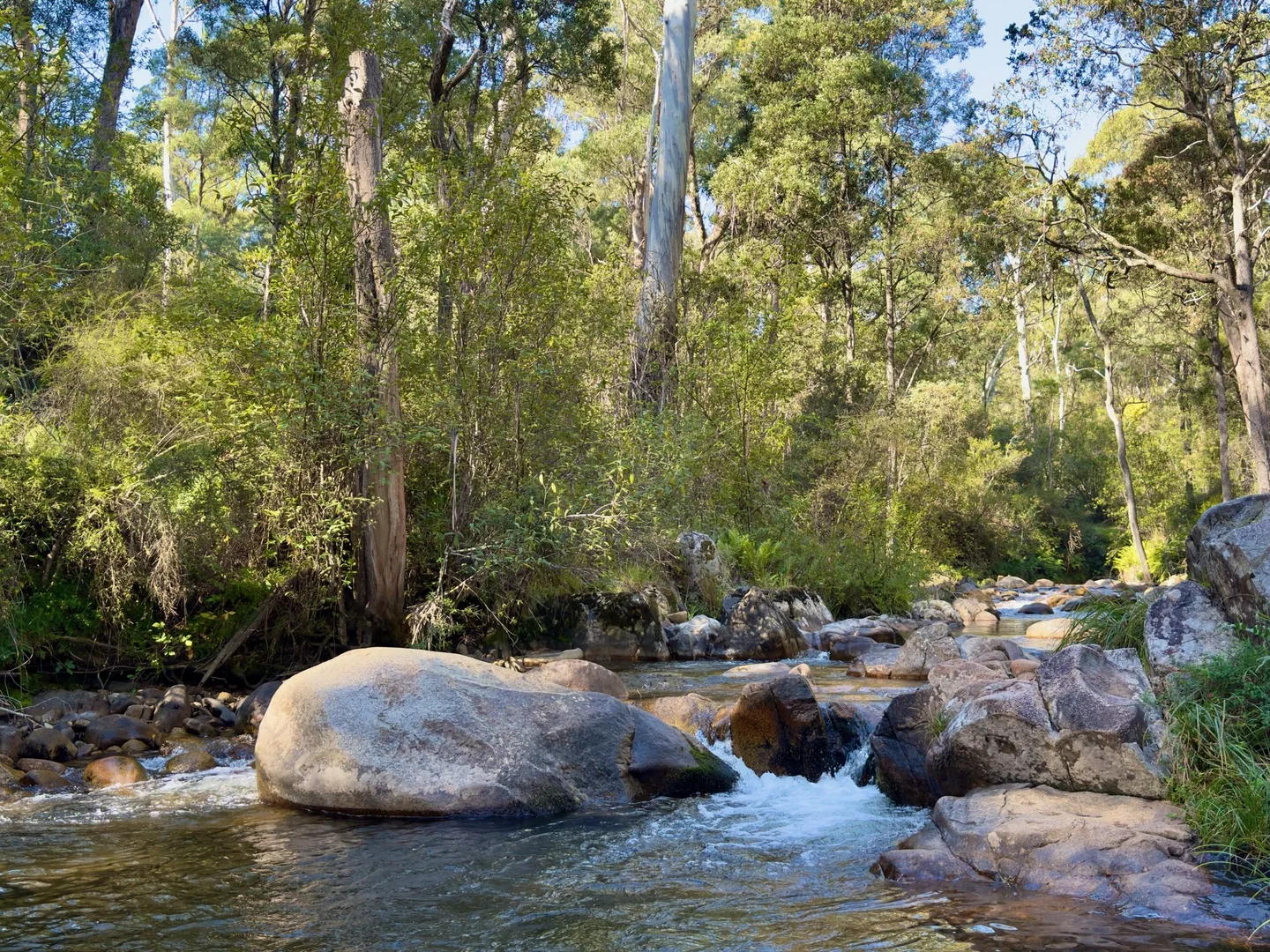 Additional image 4 of 8 Mill Court, Sawmill Settlement VIC 3723