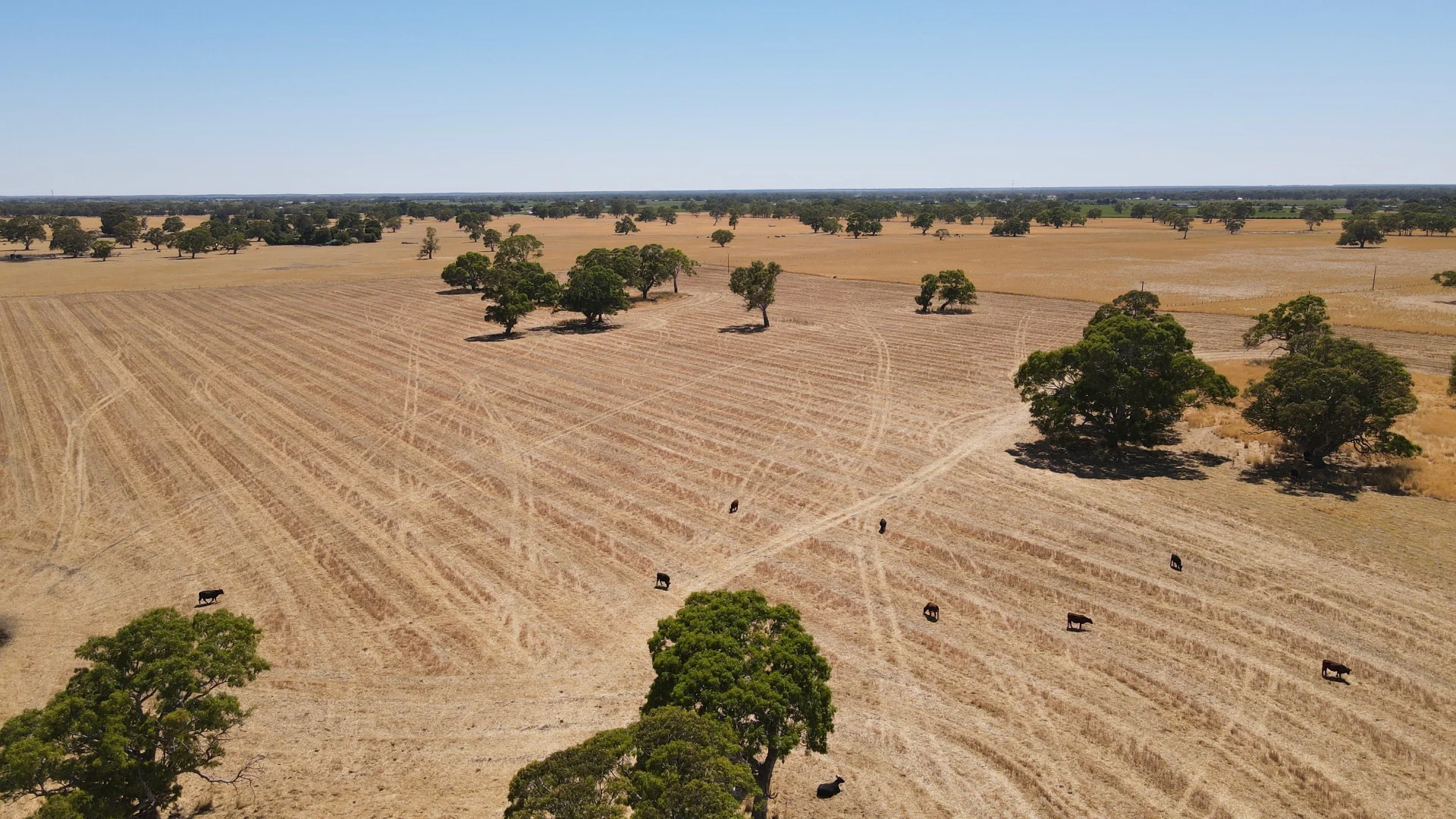 Additional image 6 of 8283 Clay Wells Rd, Penola SA 5277