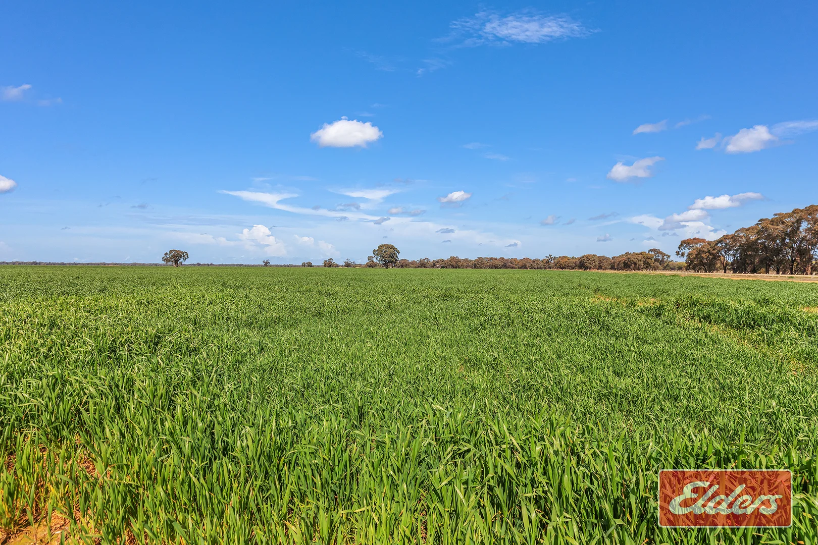 Additional image 3 of Graham Road, Koyuga VIC 3622