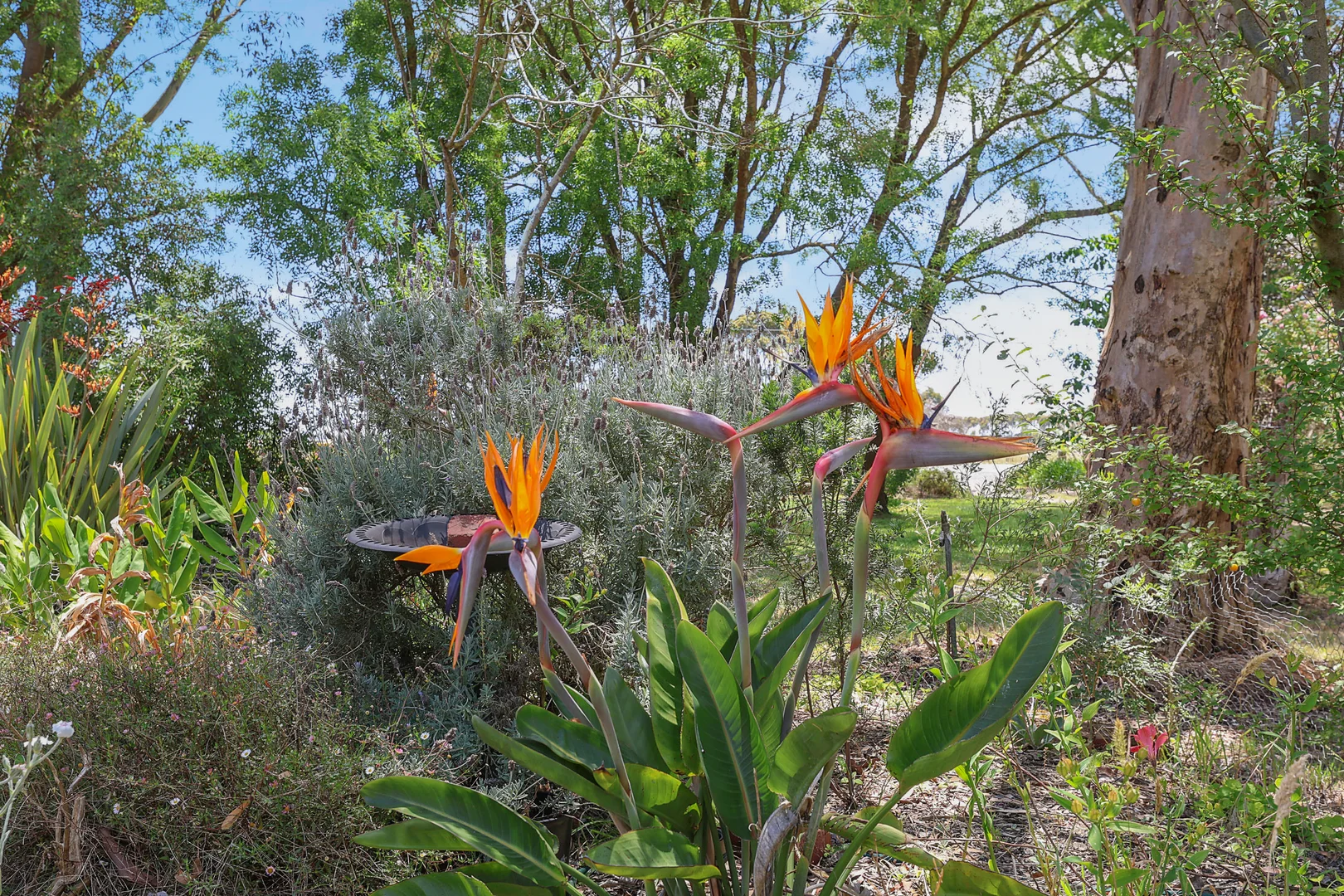 Additional image 21 of 5609 Princes Highway, Boorcan VIC 3265