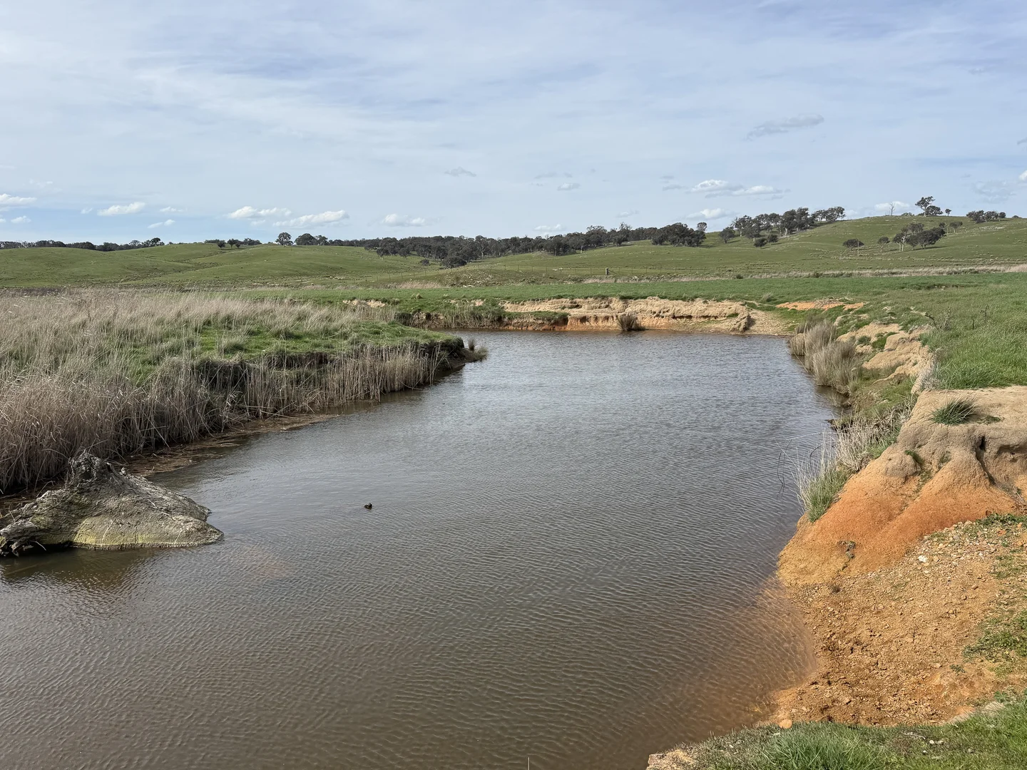 Additional image 12 of 569 & 640 Blakney Creek North Road, Blakney Creek NSW 2581