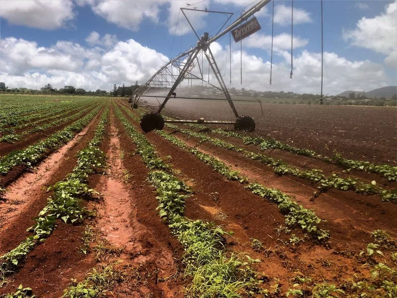 Additional image 6 of 139 Tinaroo Falls Dam Road, Atherton QLD 4883