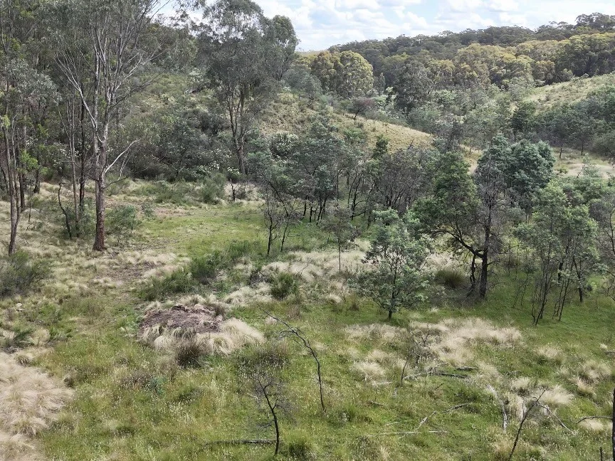 Additional image 21 of Lot 2 Kentucky Road, Neville NSW 2799