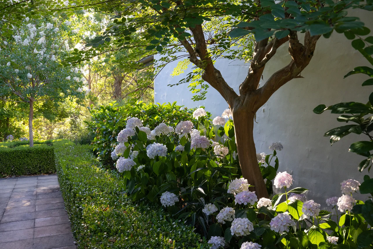 Additional image 18 of 56 Kemp Lane, Martinsville NSW 2265