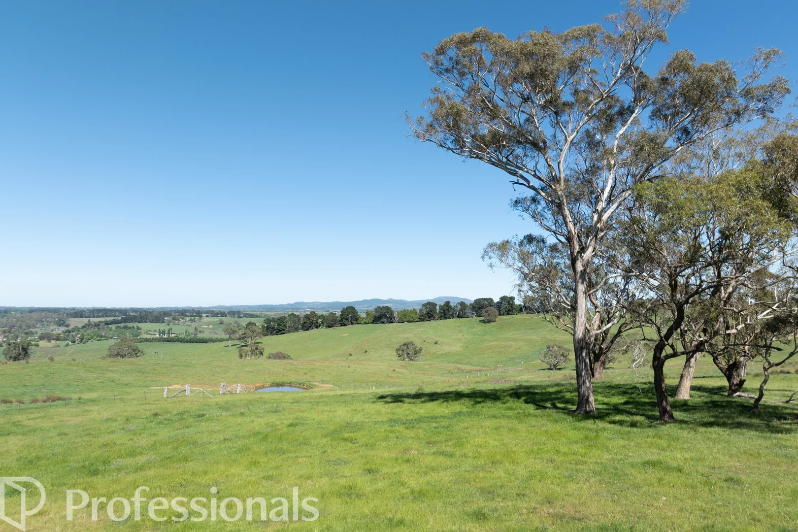 Additional image 30 of 225 Emu Swamp Road, Orange NSW 2800