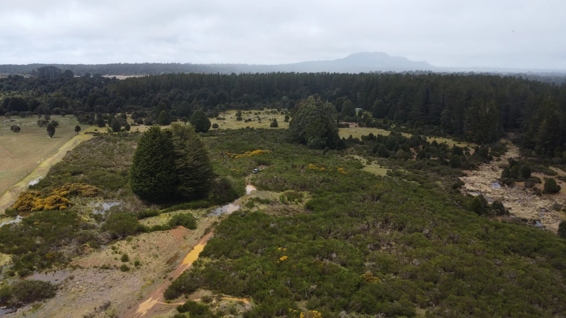 Additional image 9 of Lot 4 Waratah Road, Waratah TAS 7321