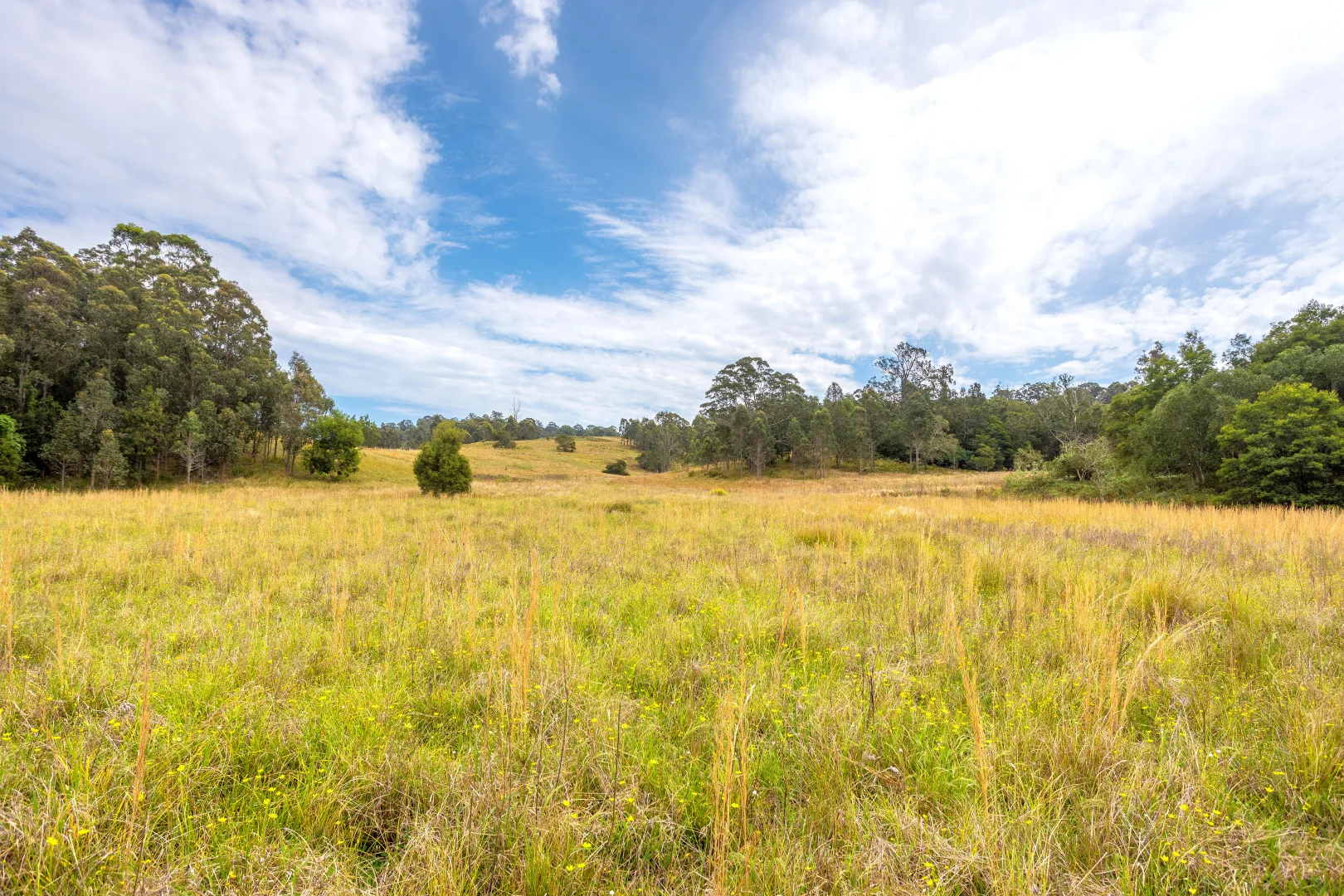 Additional image 8 of 180 Norries Road, Bunyah NSW 2429