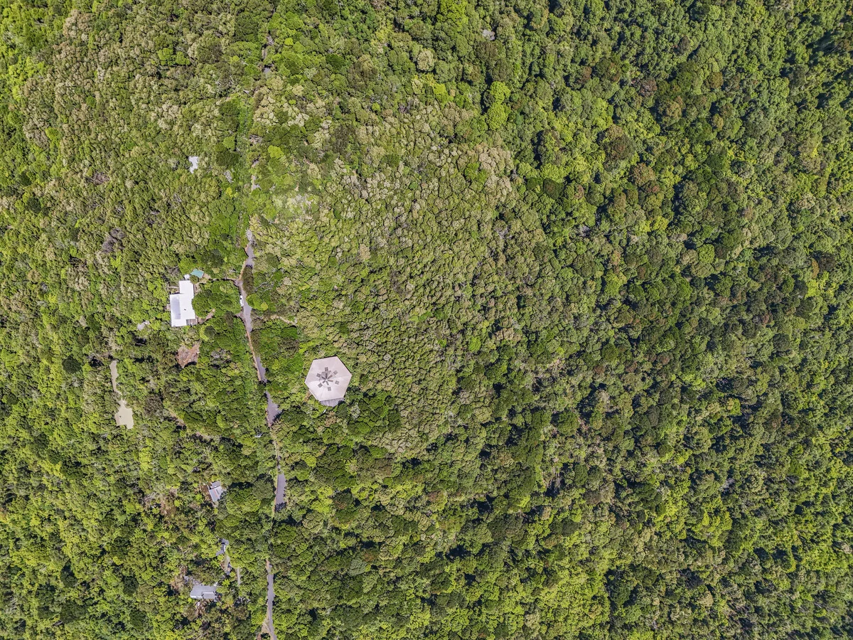 Additional image 7 of 312 Repeater Station Road, Springbrook QLD 4213