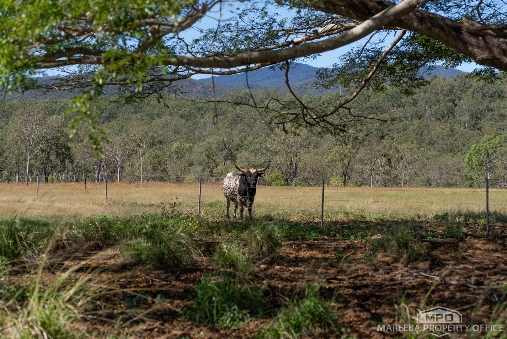 Additional image 63 of 76 Davies Creek Road, Mareeba QLD 4880