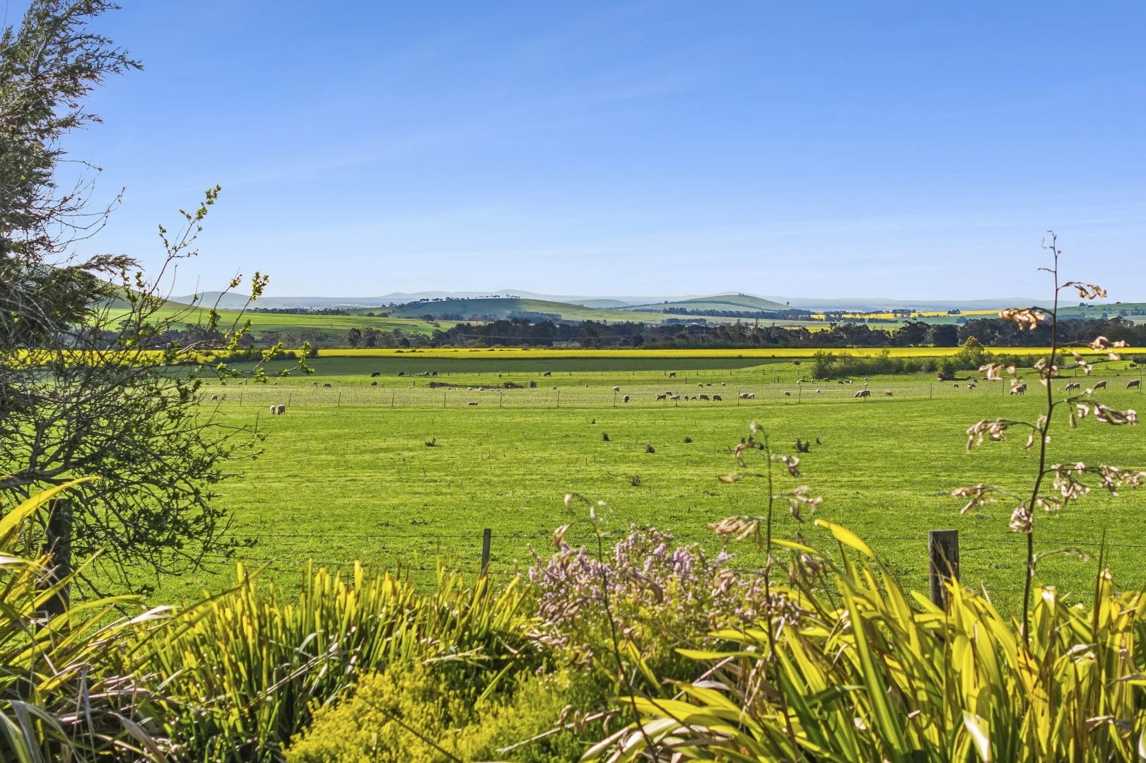 Additional image 28 of 299 Stag Road, Kingston VIC 3364