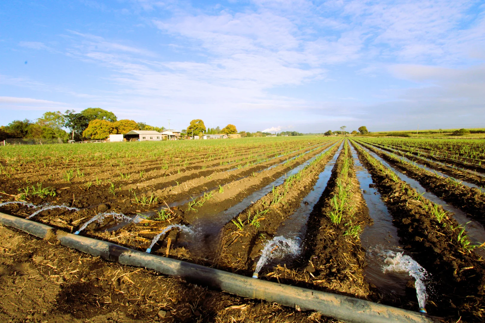 Additional image 15 of 20 Colevale Road, Brandon QLD 4808