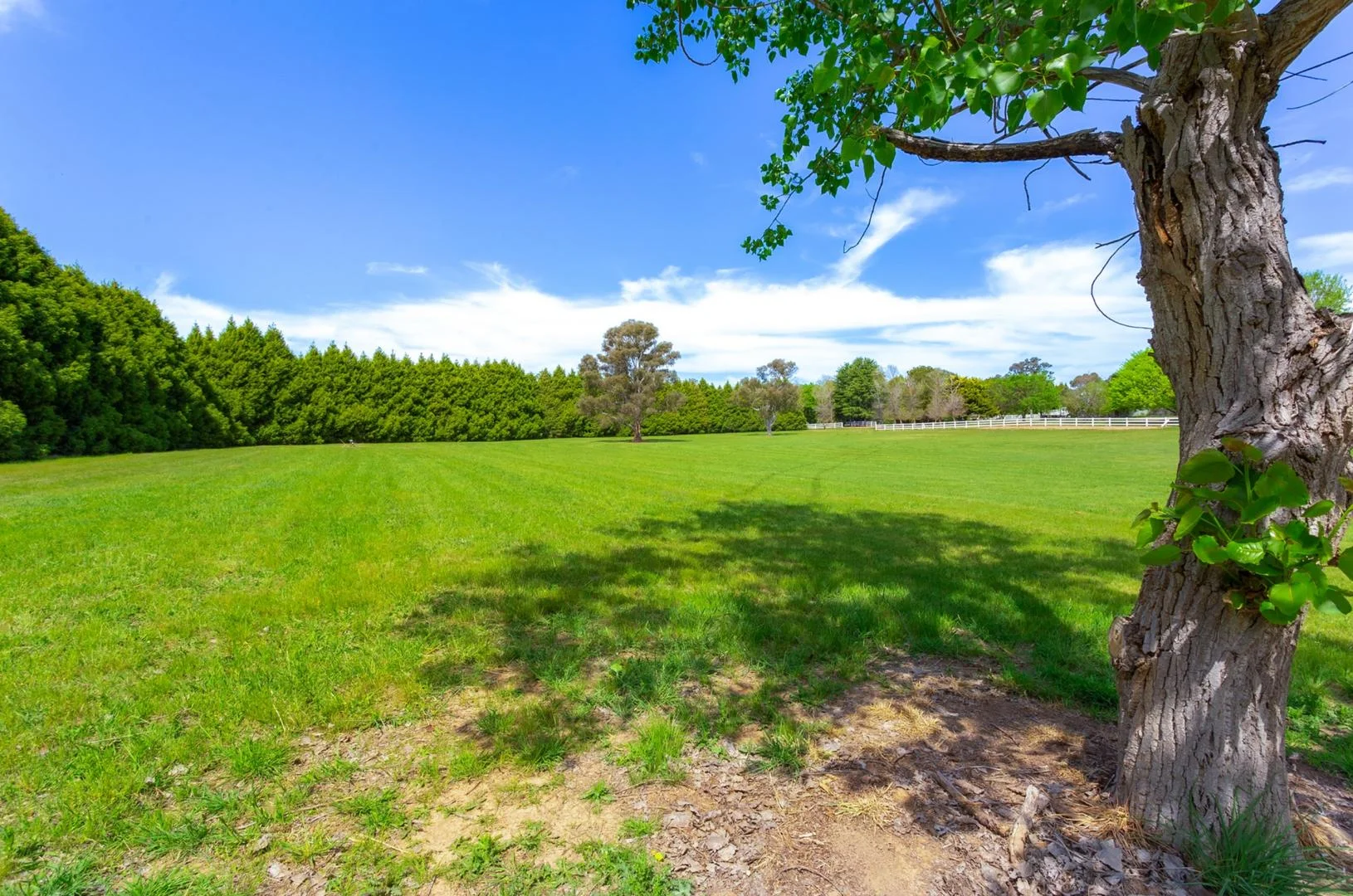 Additional image 4 of 80 Murrumbateman Road, Murrumbateman NSW 2582