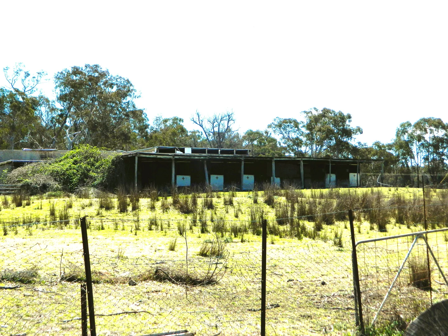 Additional image 31 of 485 Reedy Creek Road, Rylstone NSW 2849