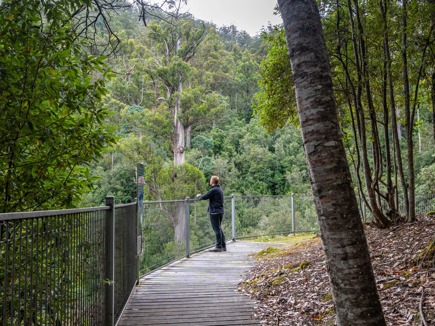 Additional image 29 of 300 Browns Road, Ranelagh TAS 7109