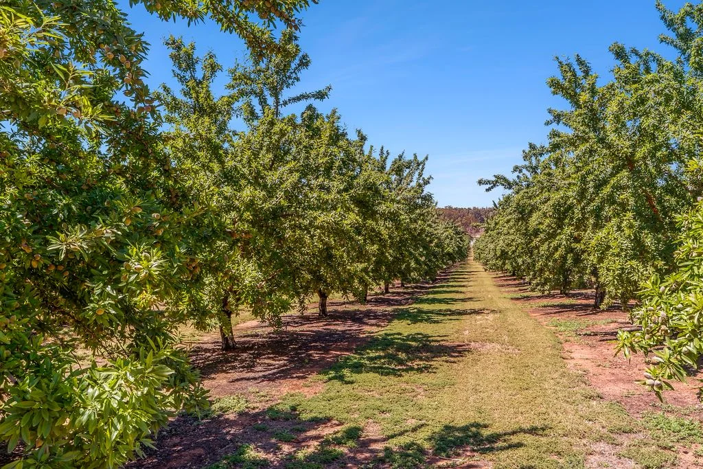 Additional image 3 of 108 Pike Creek Road, Lyrup SA 5343