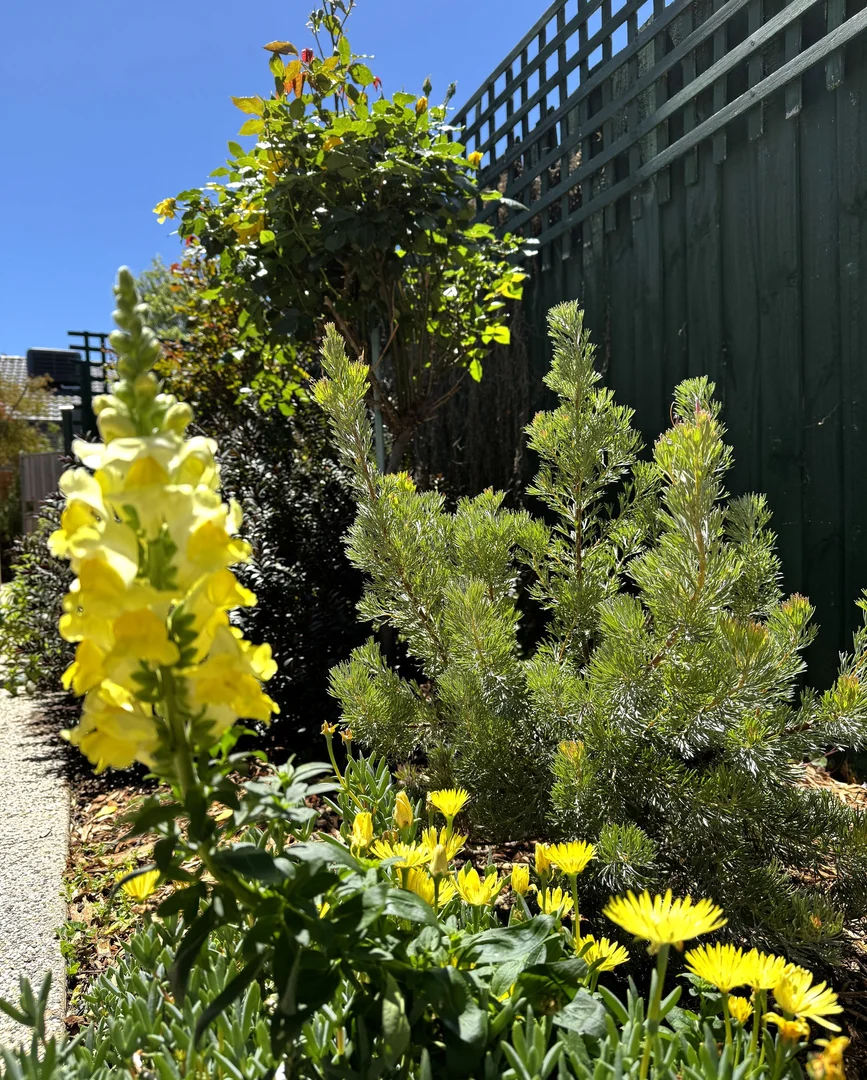 Additional image 16 of 9 Aerial Avenue, Torquay VIC 3228