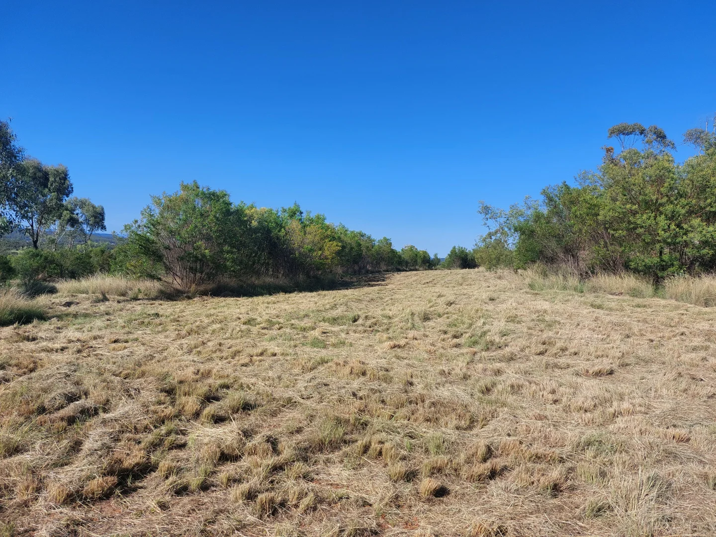 Additional image 9 of 12 Ironbark Drive, Warialda NSW 2402