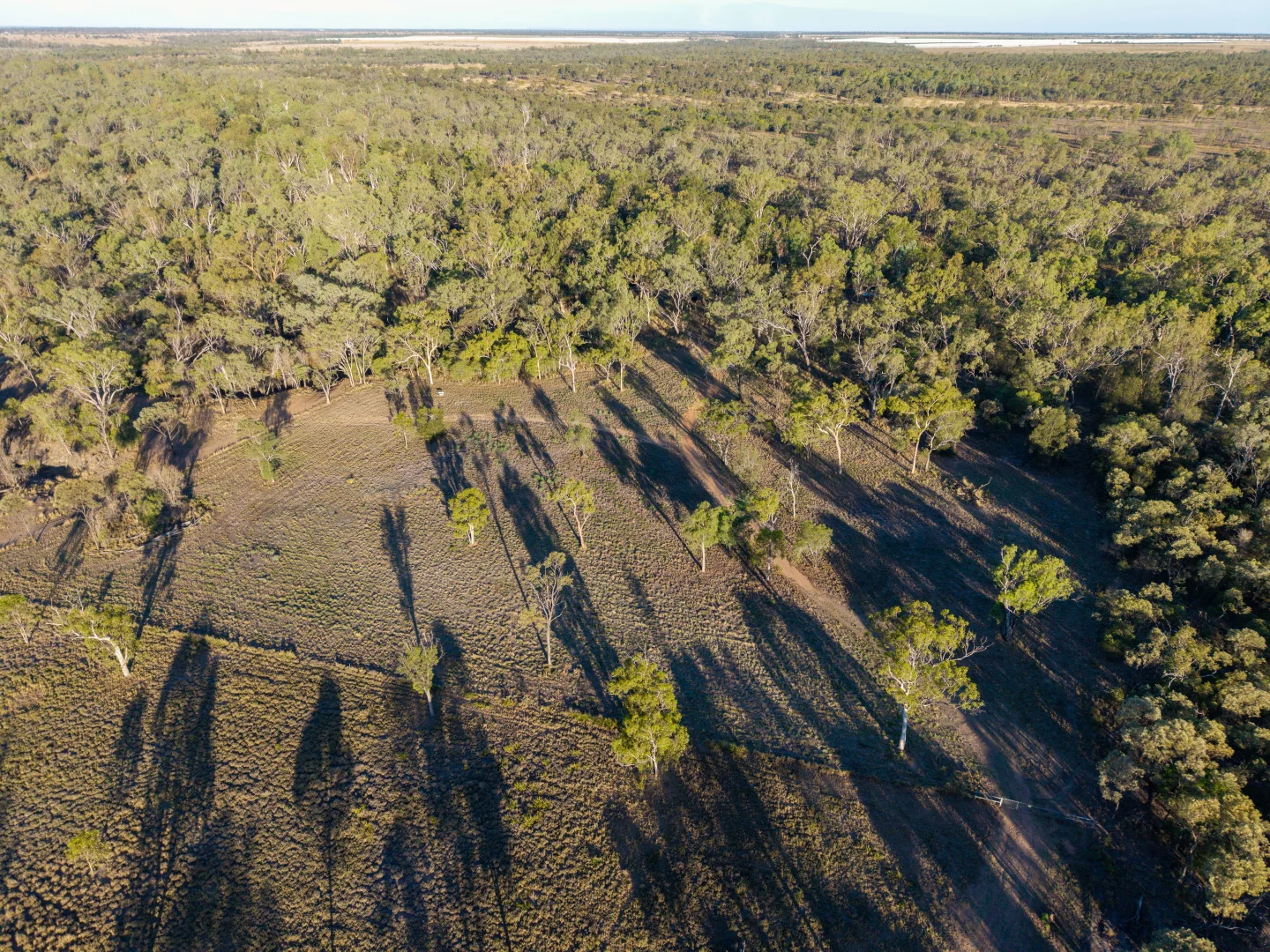 Additional image 5 of Lot 3, 1423 Selma Road, Emerald QLD 4720