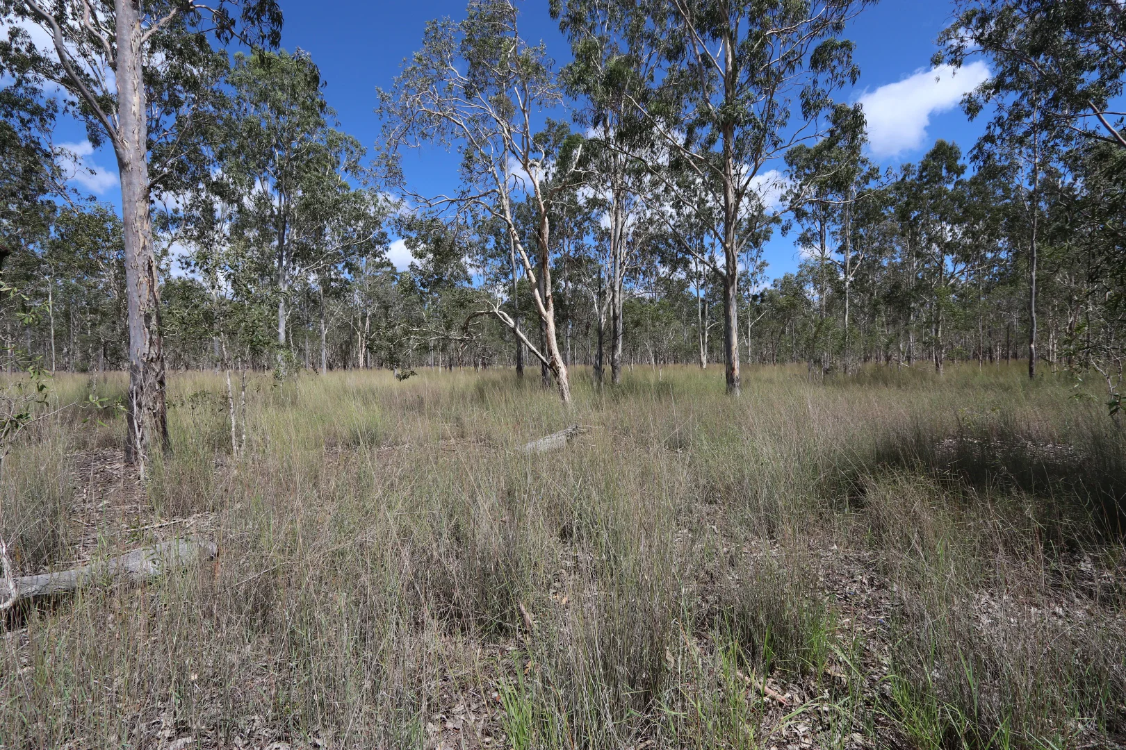 Additional image 14 of 330 Doonside Road, Jardine QLD 4702