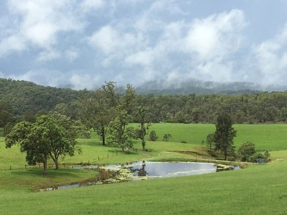 Additional image 8 of 800 Toms Gully Rd, Hickeys Creek NSW 2440