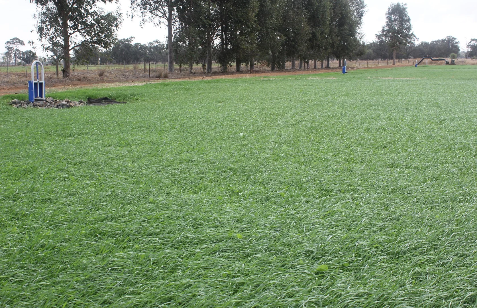 Additional image 5 of Katunga VIC 3640