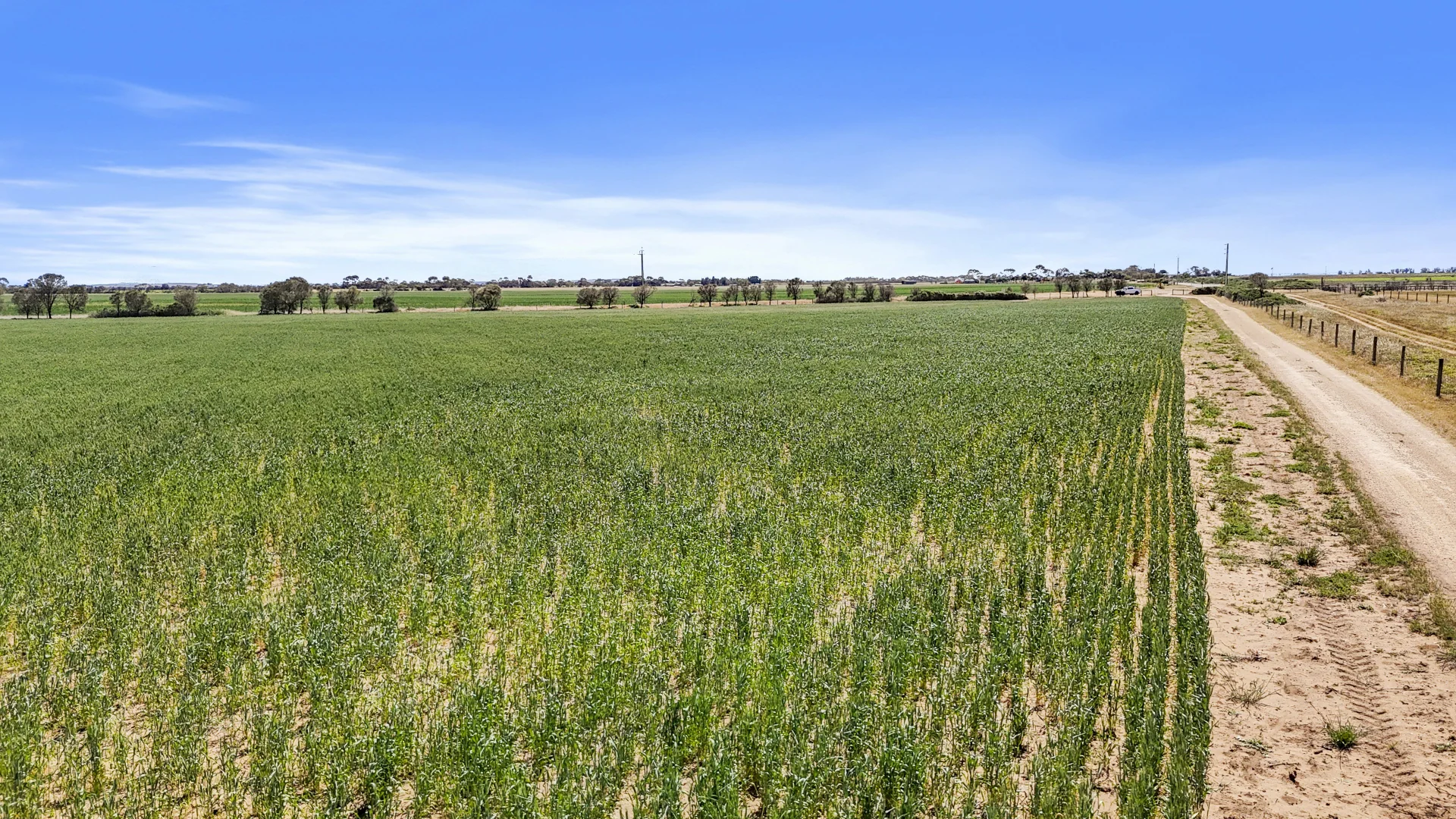 Additional image 11 of Lot 1 Tolderol Road, Langhorne Creek SA 5255