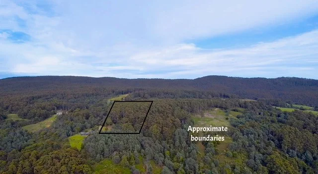 Additional image 10 of Lot 2 Lookout Road, Port Arthur TAS 7182