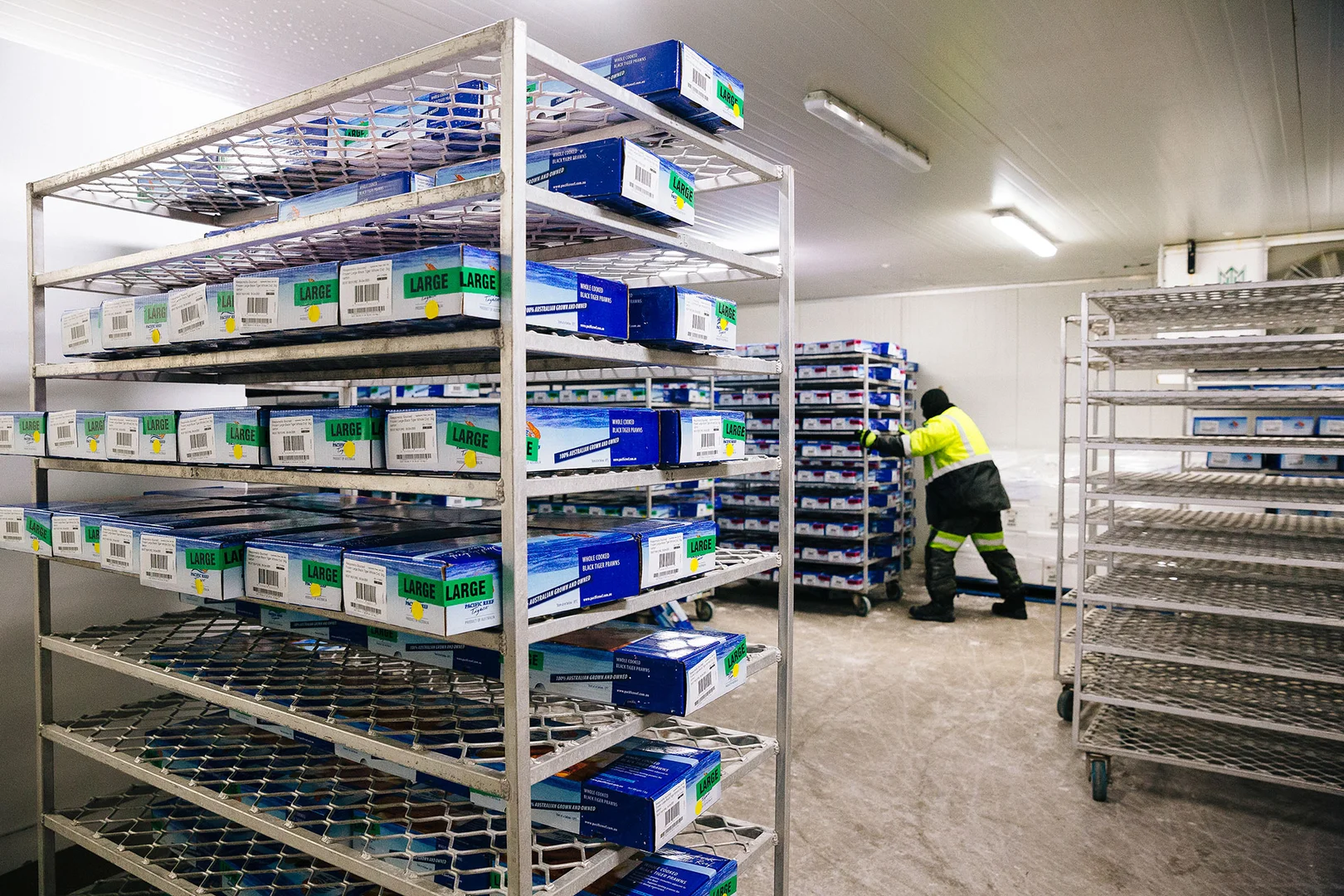 Additional image 7 of Alva QLD 4807