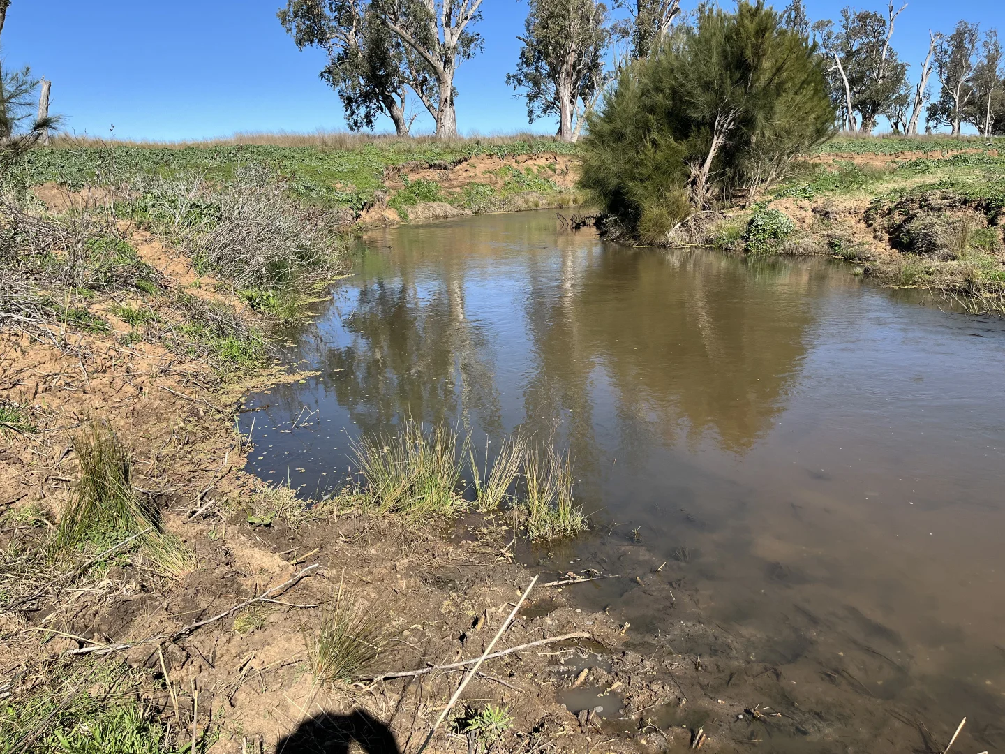 Additional image 27 of "Piambra" 714 Piambra Road, Binnaway NSW 2395