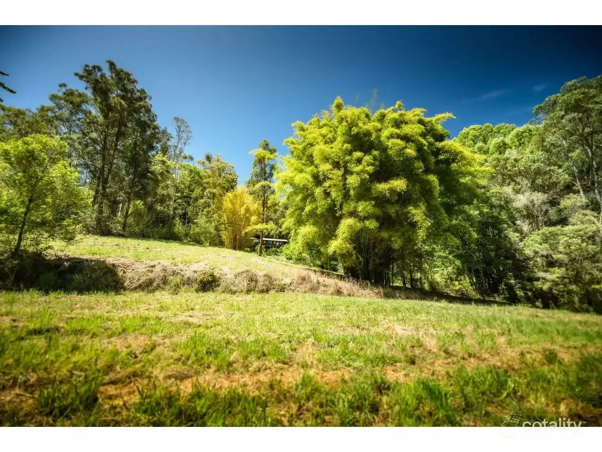 Additional image 17 of 140 Kalang Road, Bellingen NSW 2454