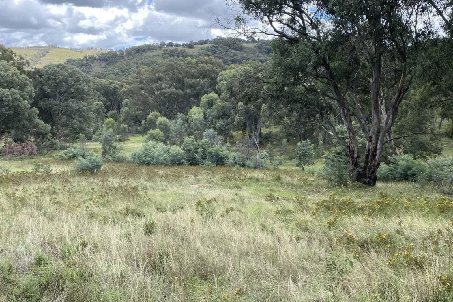 Additional image 6 of 881 Mulgowrie Road, Crookwell NSW 2583