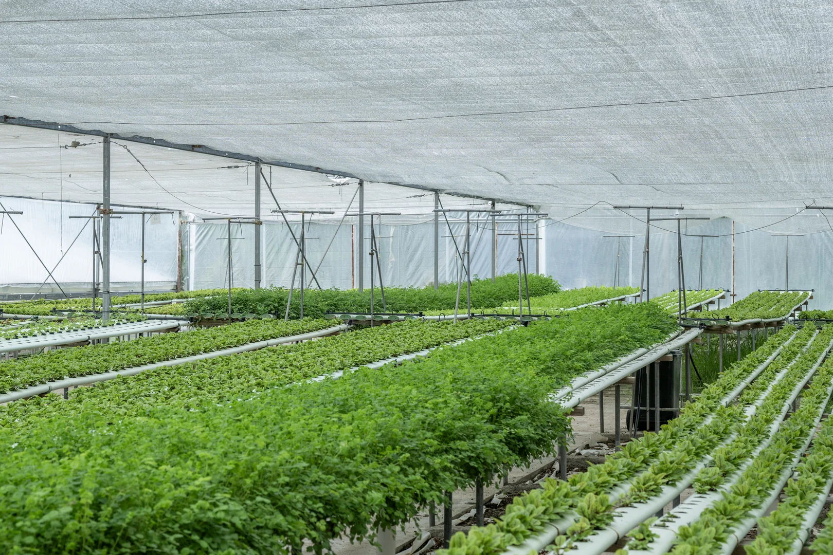 Additional image 29 of 44 Glen Nathan Court, Mount Nathan QLD 4211